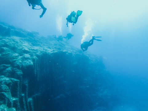 Diving Angel Tenerife-洛斯·吉甘特斯必去景点