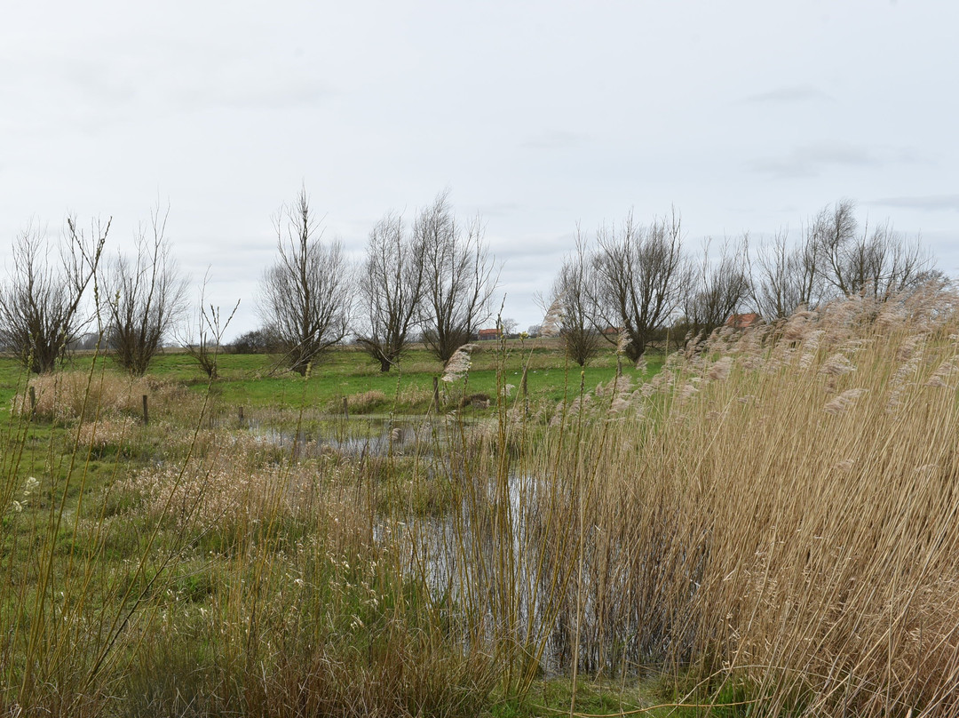 Dode Yzerwandelroute, Roesbrugge-haringe景点图片