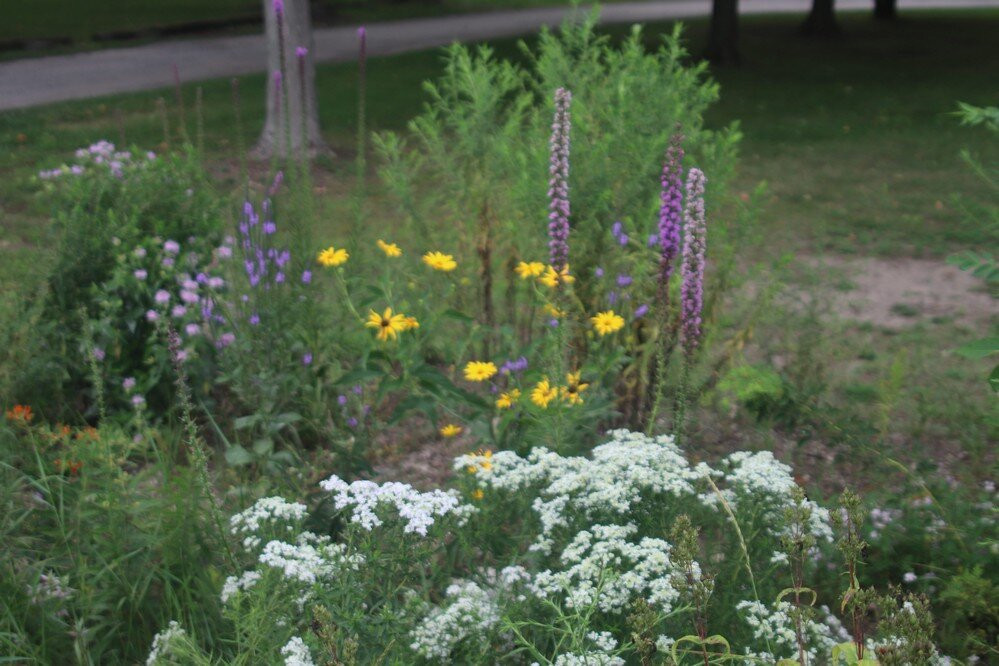 Wainfleets Memorial Community Park-Wainfleet必去景点