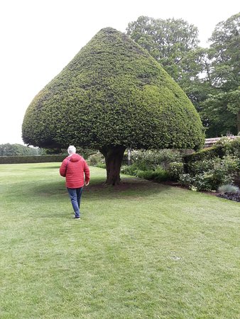 Hardwick House-官方