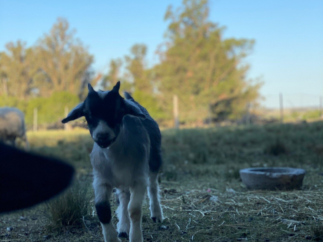 La India - Somos Naturaleza-Florida必去景点