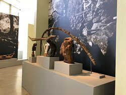 Norval Foundation-Tokai必去景点