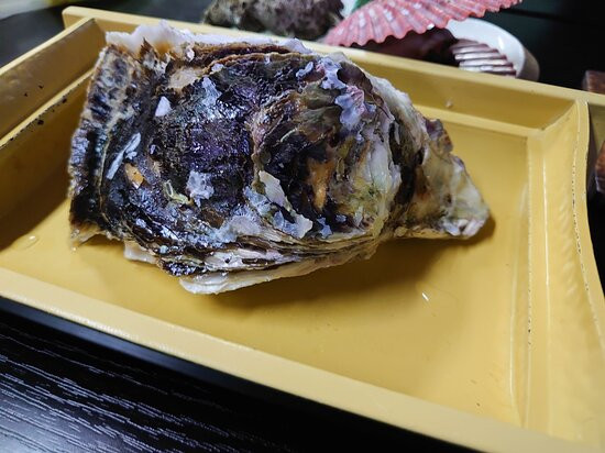 Ryokan Mitsukejimaso主图