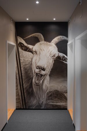 Boutique Hotel Stanserhof-官方