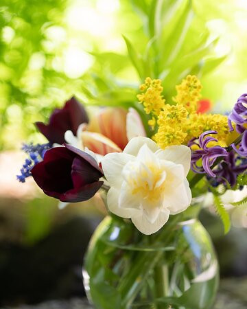 Good Medicine Lodge主图