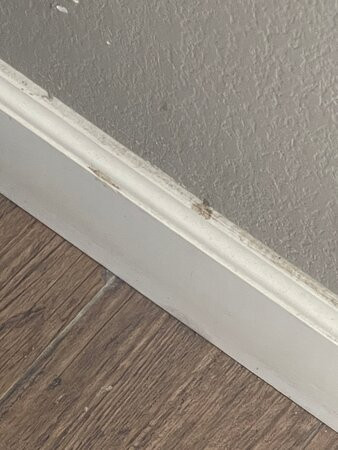 Black Gold Inn主图