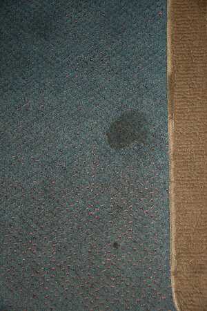 Columbine Inn-客卧