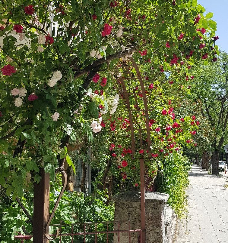 Gölbaşı Kent Parkı-Golbasi必去景点
