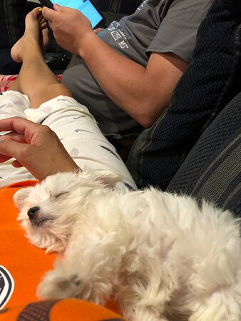 Mcdougall Lane Bed & Breakfast主图