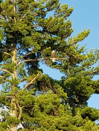 Pirates Hideaway-伊格尔里弗必去景点