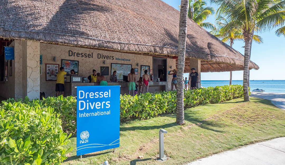 Dressel Divers Puerto Aventuras-阿范特拉斯港必去景点
