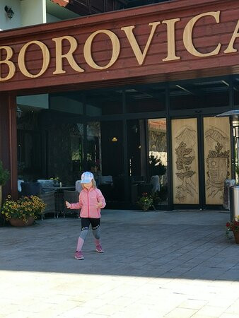 Wellness Hotel Borovica主图