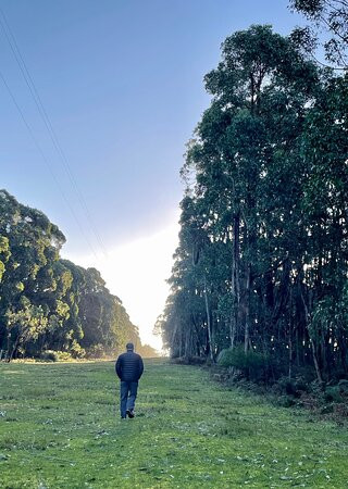 Southern Ocean Retreats主图