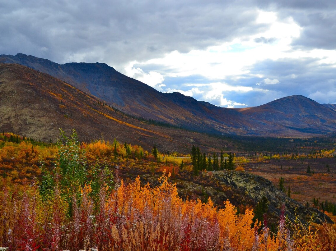 Tombstone Territorial Park-道森市必去景点