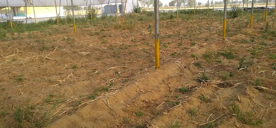 Arise Ethnic  Village Resort主图