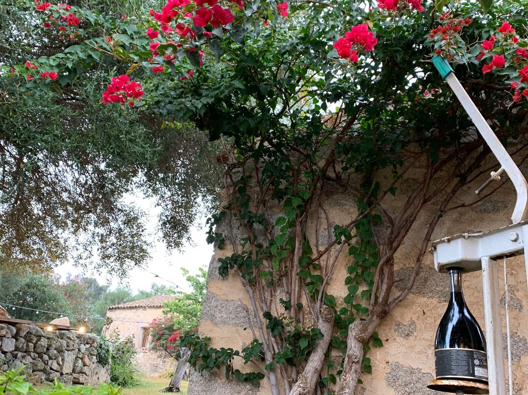 Cantina Lu Beddu