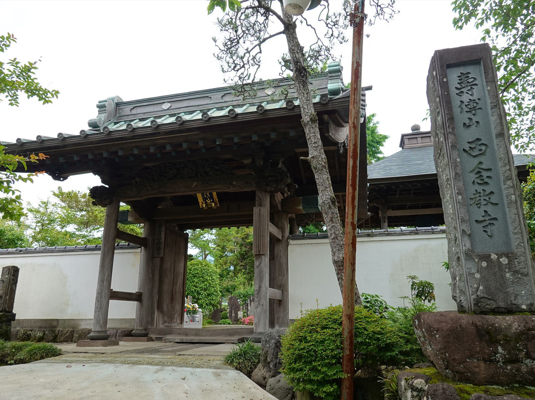 Sainen-ji Temple景点图片
