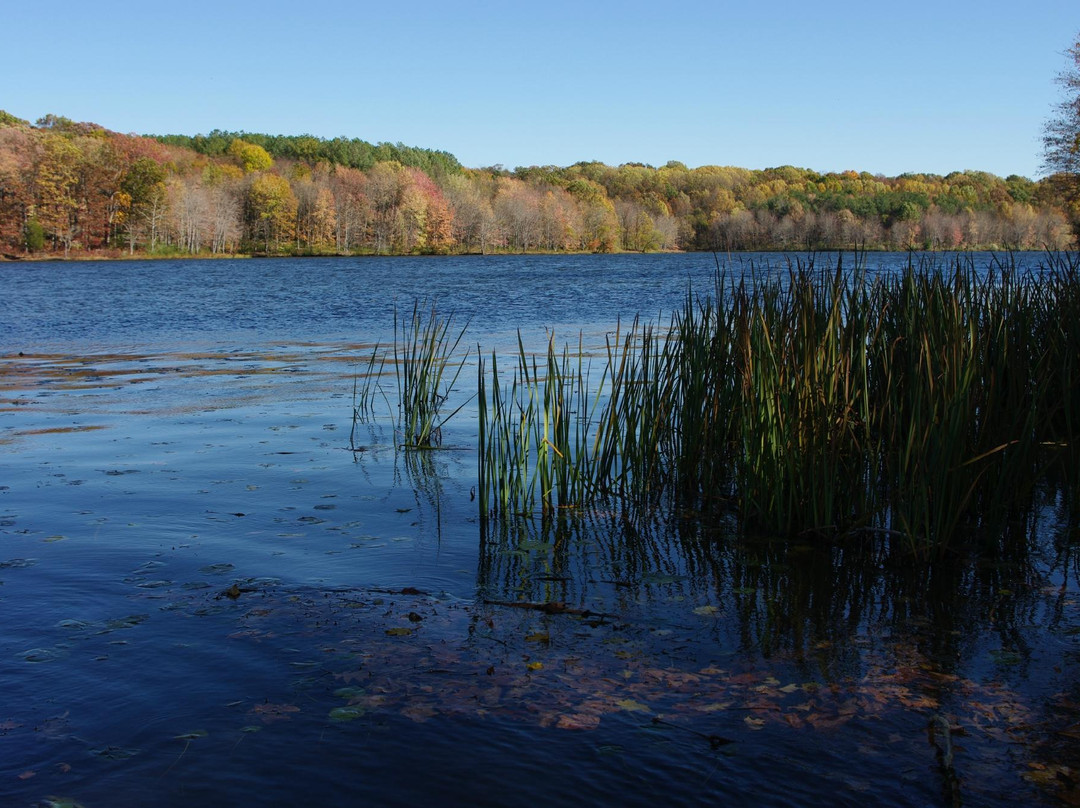 Sykesville旅游攻略图片