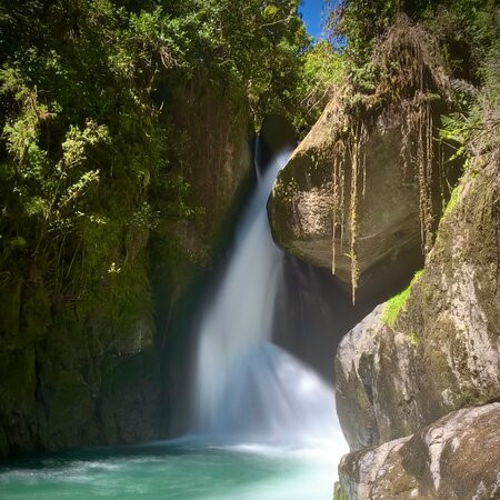 Rio savegre Waterfall景点图片