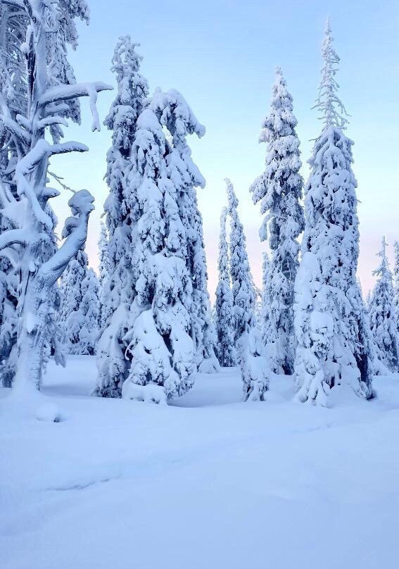 Outdoors Ylläs-Akaslompolo必去景点