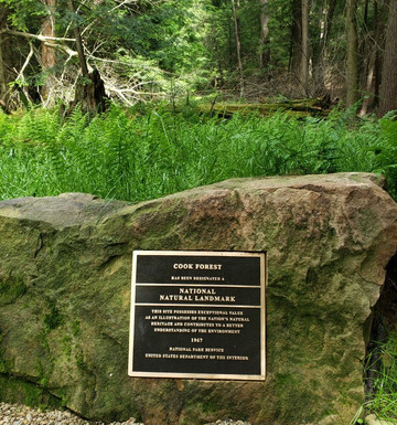 Cook Forest State Park-Cooksburg必去景点