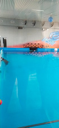 Dolphin Planet Hotel &SPA主图