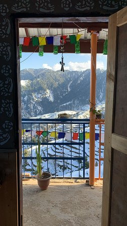 The Shivay Cafe & Stay主图