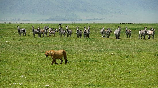 Tanga Wonders Adventures Tours & Safaris-坦噶必去景点