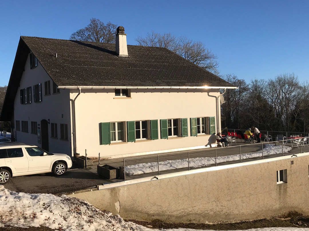 Grenchen餐馆和美食-Restaurant Stierenberg