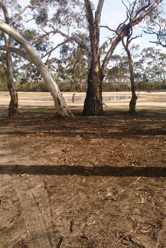 Broughton's Waterhole-Kaniva必去景点