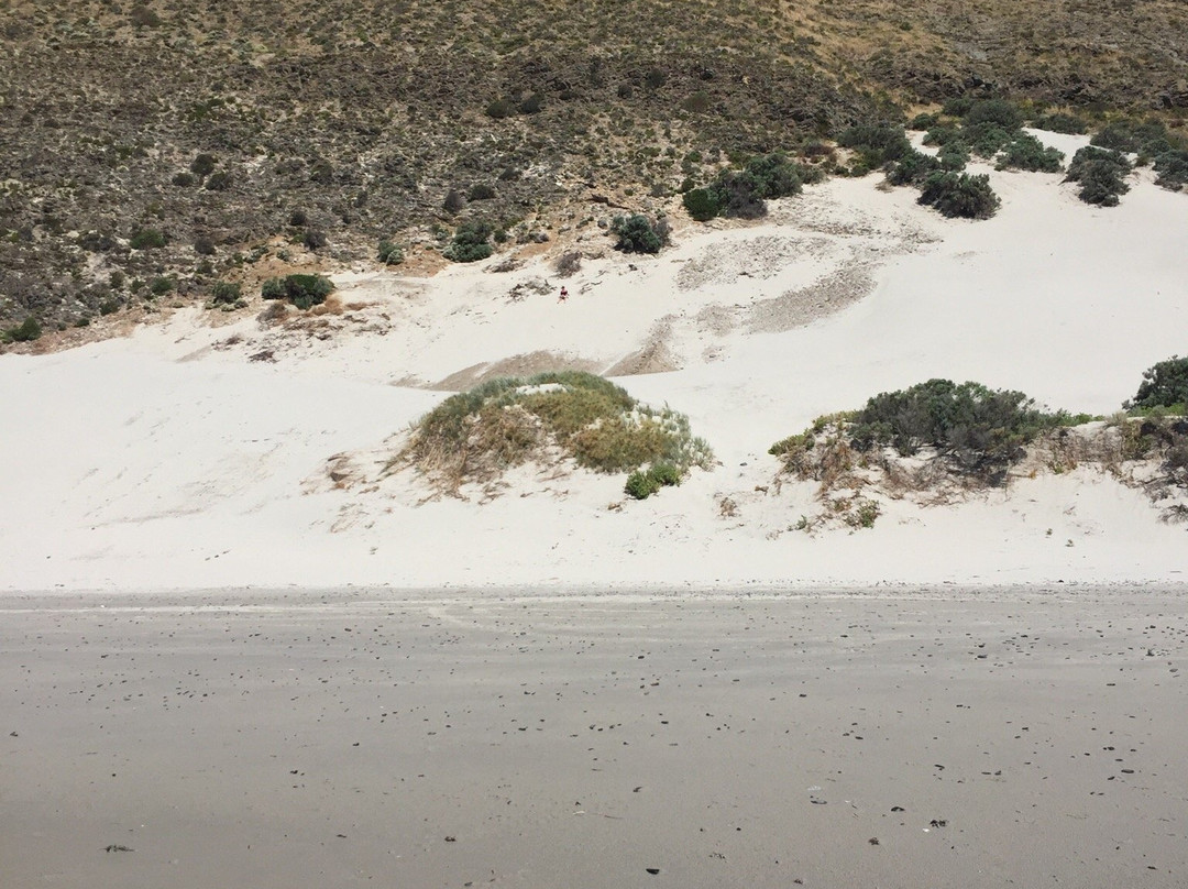 Morgan Beach-Cape Jervis必去景点
