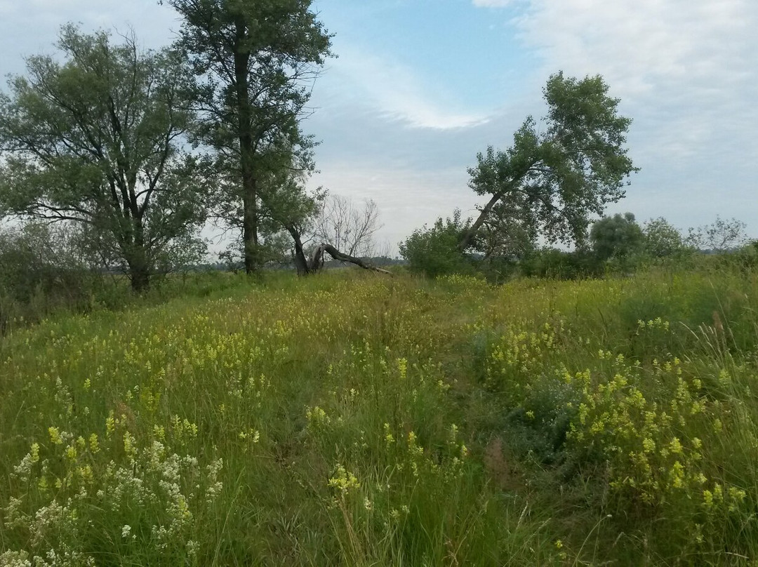 Desna River-Chernihiv必去景点