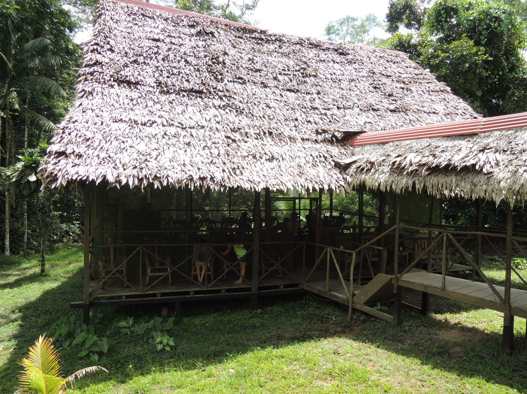 Amazon Experience - Dolphin Lodge