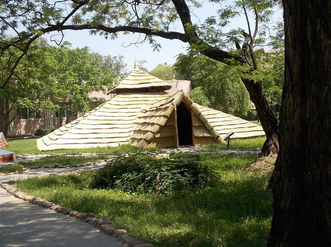 新乐遗址博物馆-沈阳市必去景点