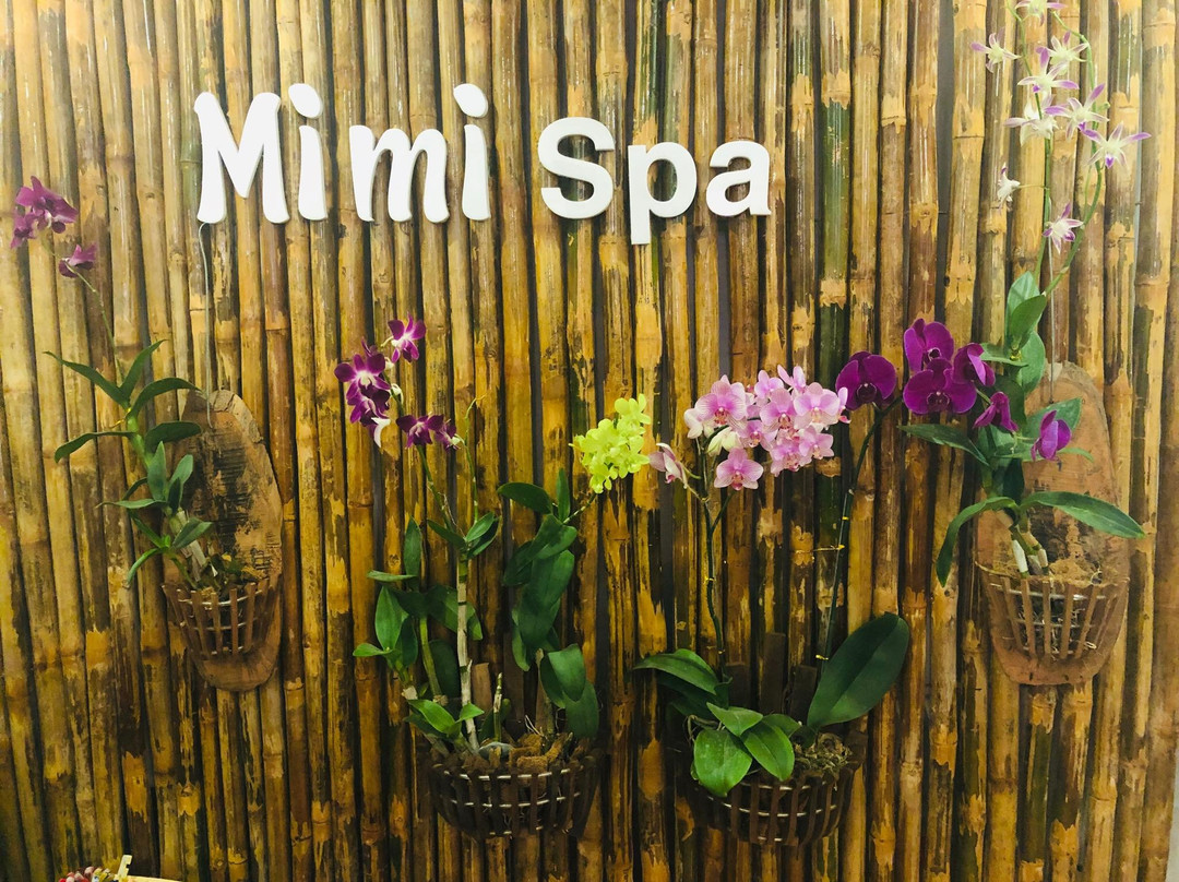 Cam An旅游景点-MiMi Spa