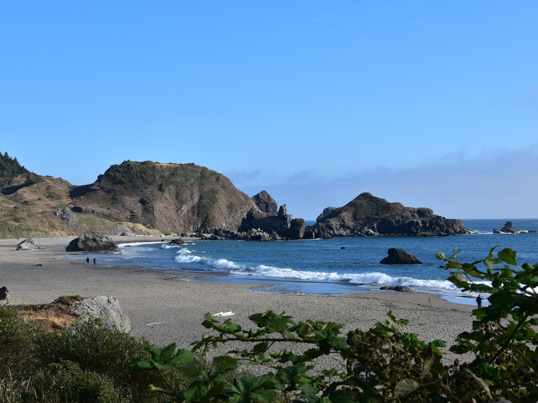 Lone Ranch Beach景点图片