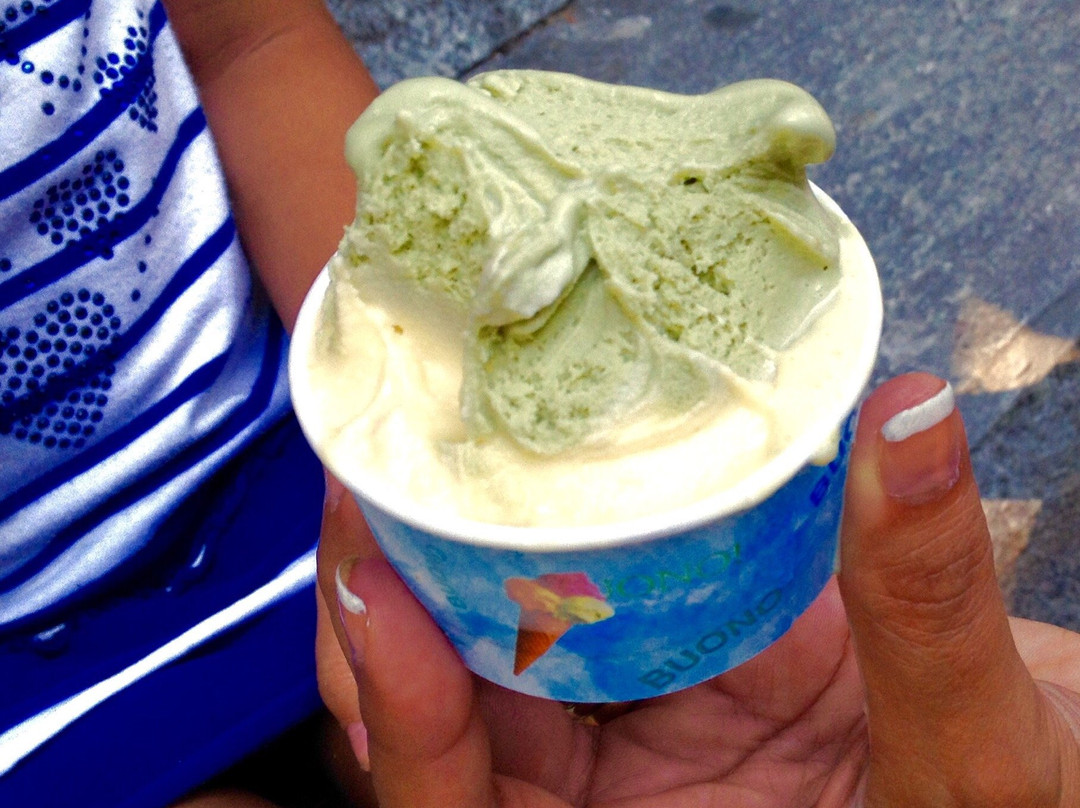 Gelateria Dolce Freddo