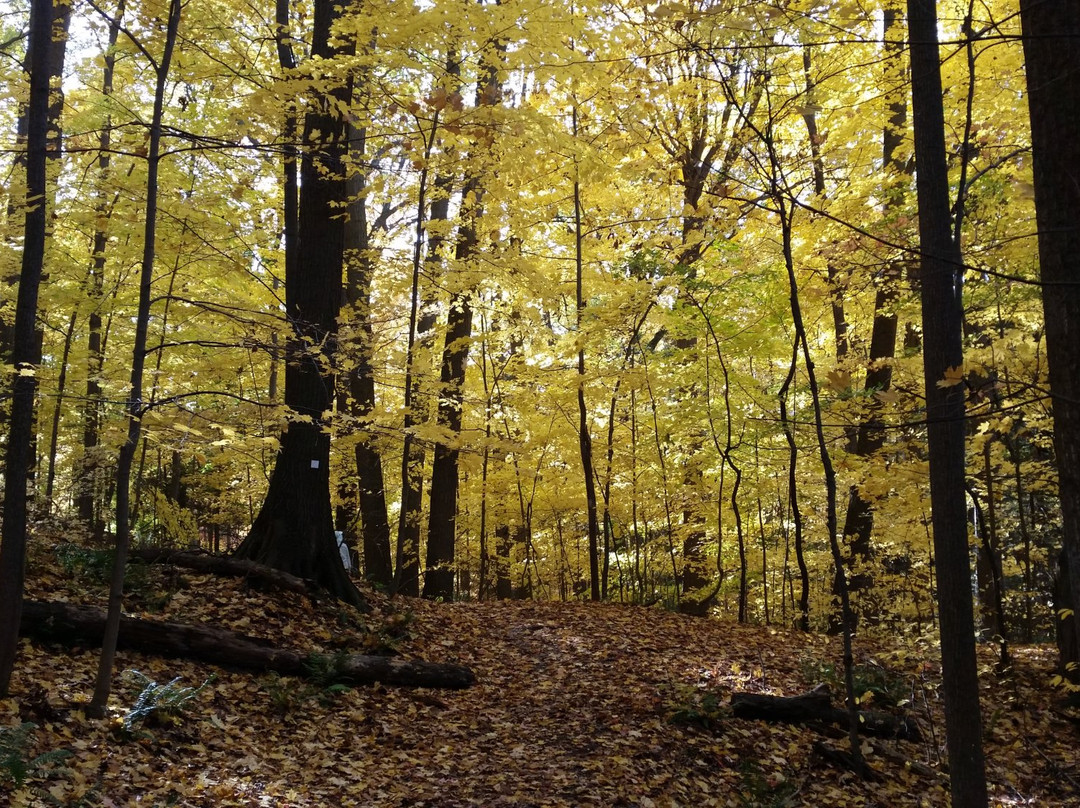 Webster旅游攻略图片