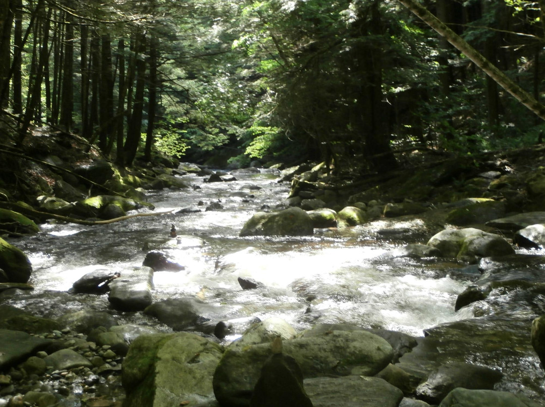 Jamaica旅游攻略图片