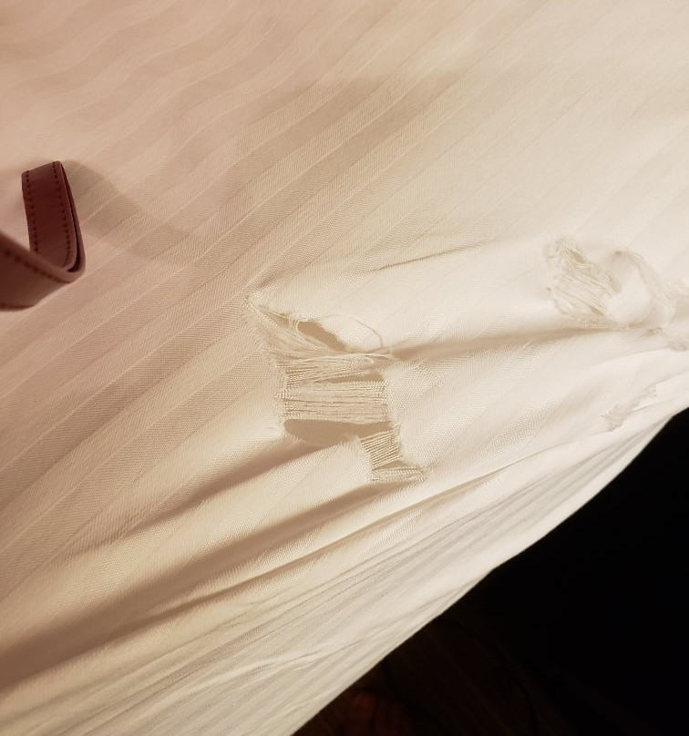 Best Western Plus Monica Royale Inn & Suites主图