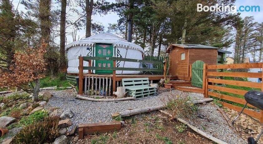 The Tall Pines Yurt