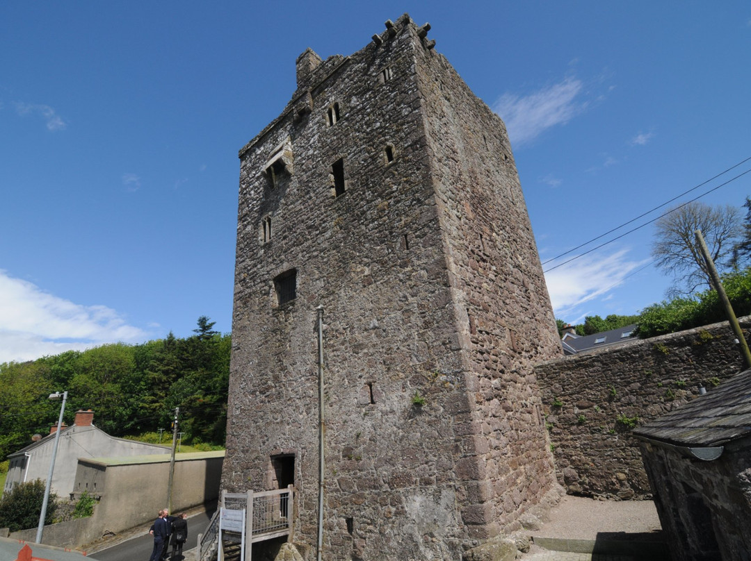 Ballyhack Castle景点图片