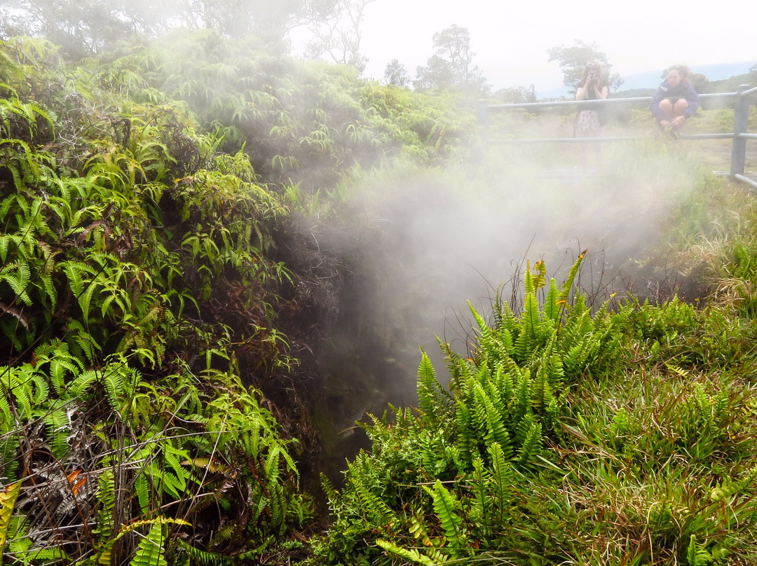 帕霍亚旅游景点-Steam Vents