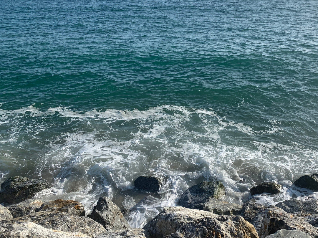 Sycamore Cove Beach