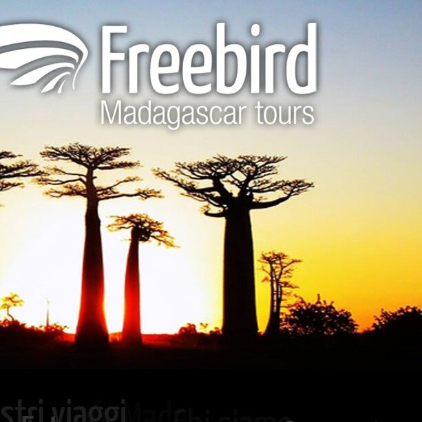 FREEBIRD MADAGASCAR TOURS