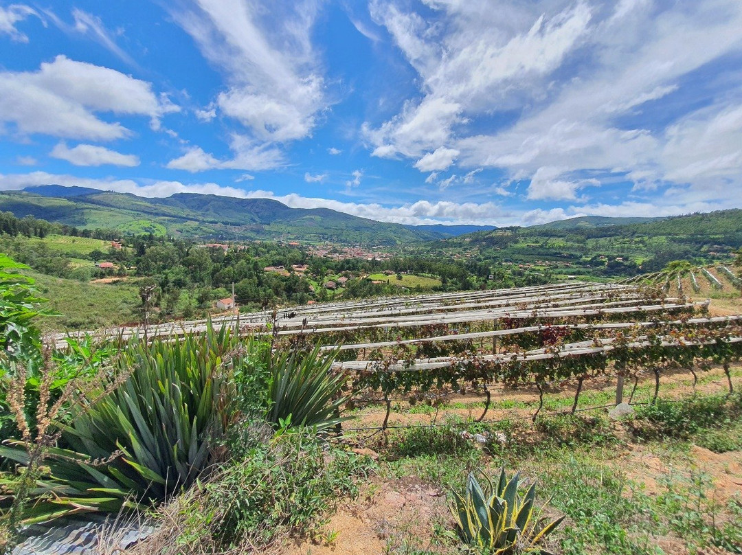 Vinos 1750 - Uvairenda Bodega & Vinedos-Samaipata必去景点