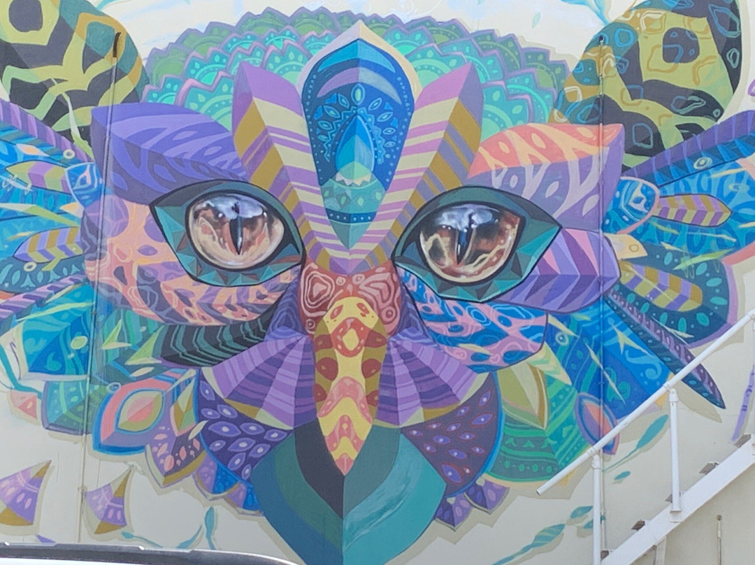 Aruba Mural Tours-San Nicolas必去景点