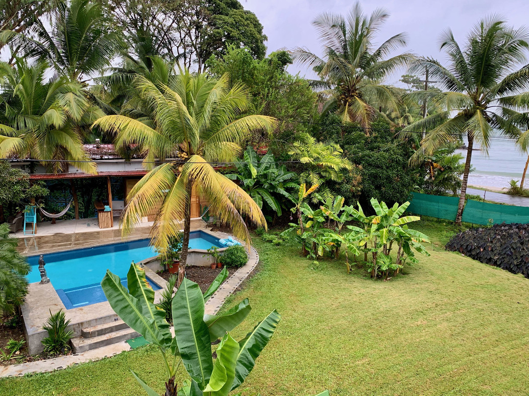 Sand Dollar Beach Bed & Breakfast主图