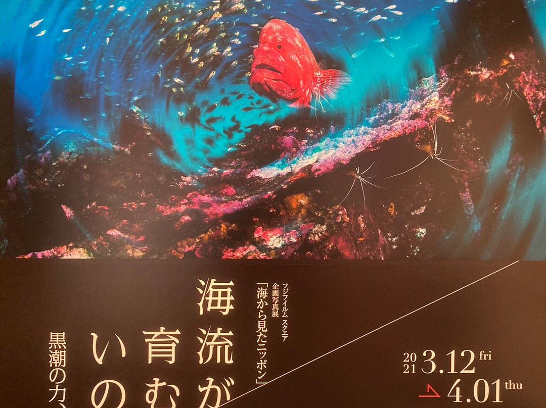 富士软片广场-Akasaka必去景点