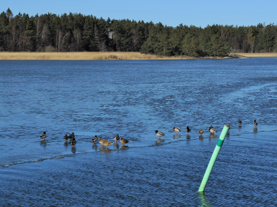 Spikens Fiskehamn-Lidkoping必去景点